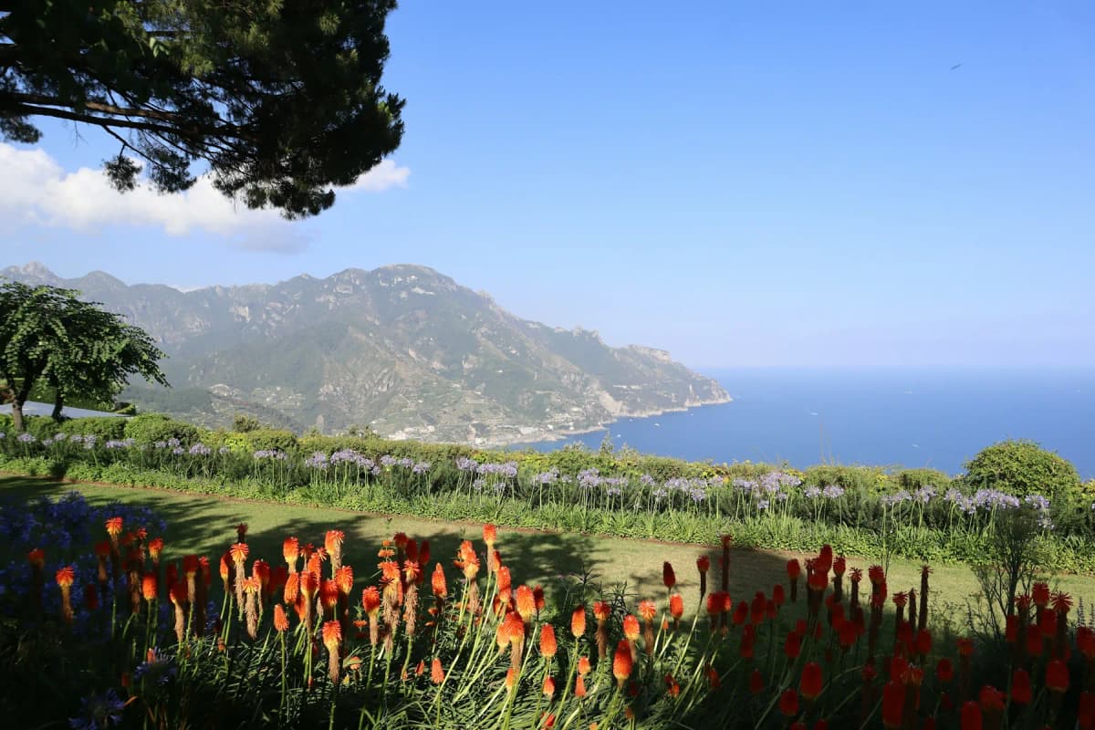 Flowers in a terraced garden with a view over the Amalfi Coast in spring
