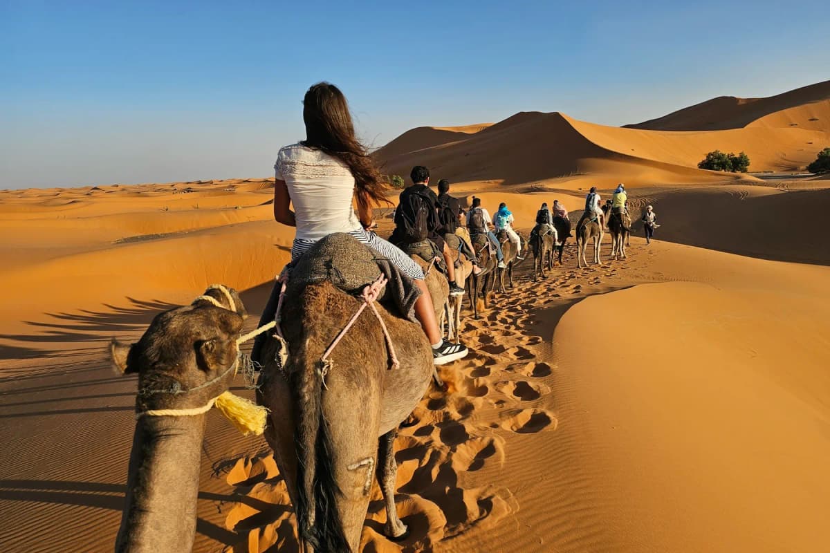 A camel caravan crossing Sahara sand dunes in low evening light
