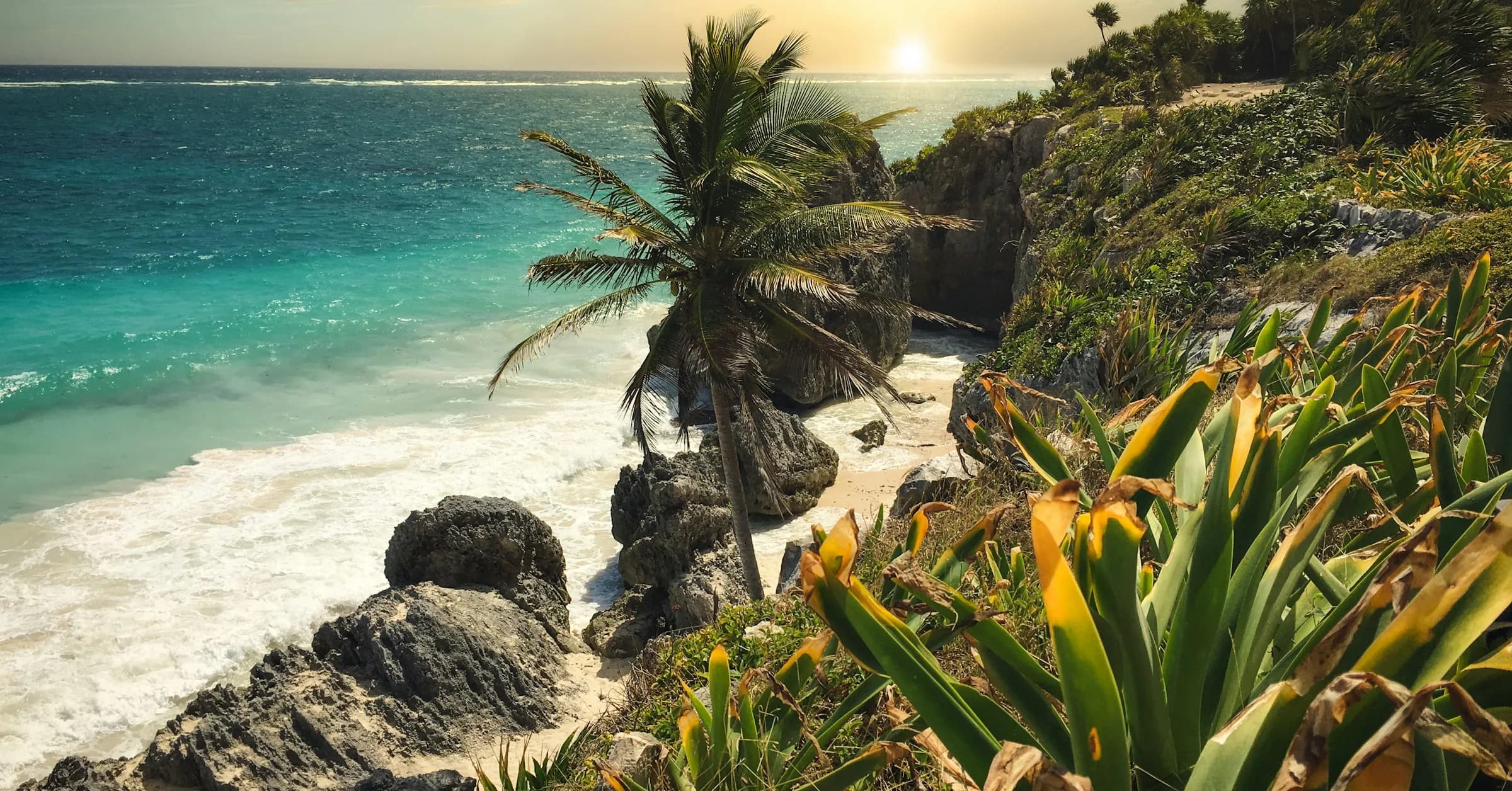 Best time to go to Tulum: a palm tree leaning over the white sand and turquoise sea on the Tulum coast
