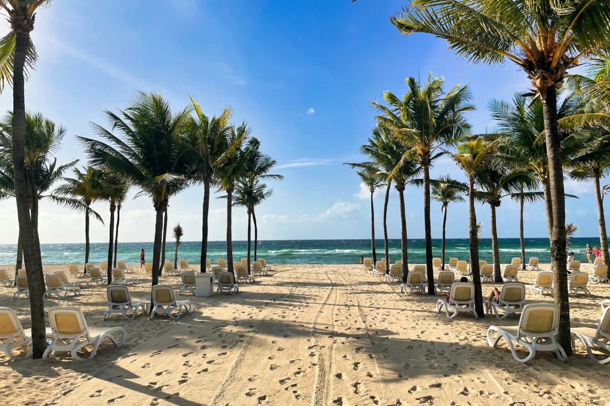 A palm-lined beach with loungers on the Riviera Maya near Playa del Carmen