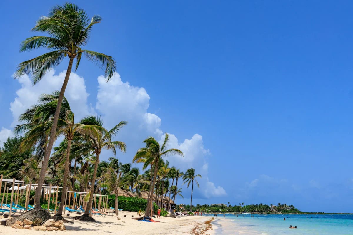 A palm-fringed beach on the Riviera Maya between Cancún and Tulum