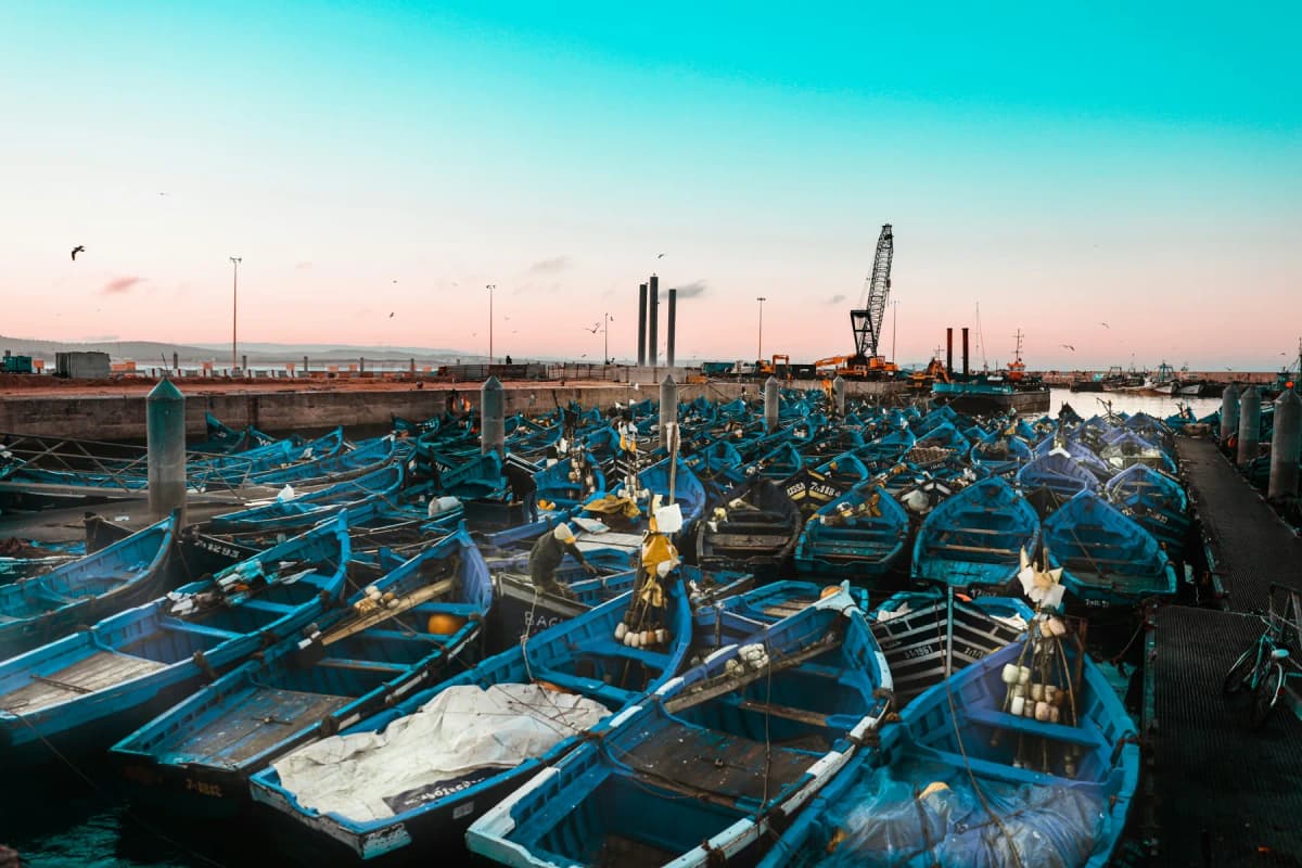 Blue wooden fishing boats packed into the harbour at Essaouira