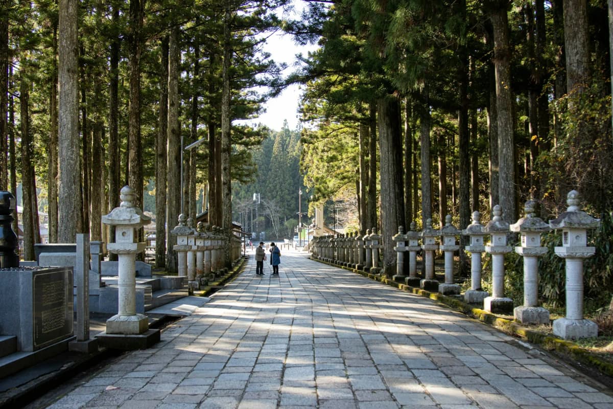A stone path lined with lanterns and tall cedar trees at Koyasan