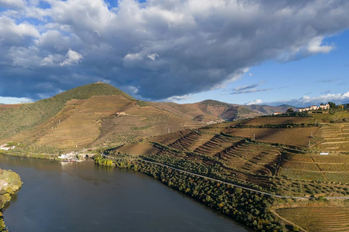 Terraced vineyards stepping down the hillsides of the Douro Valley