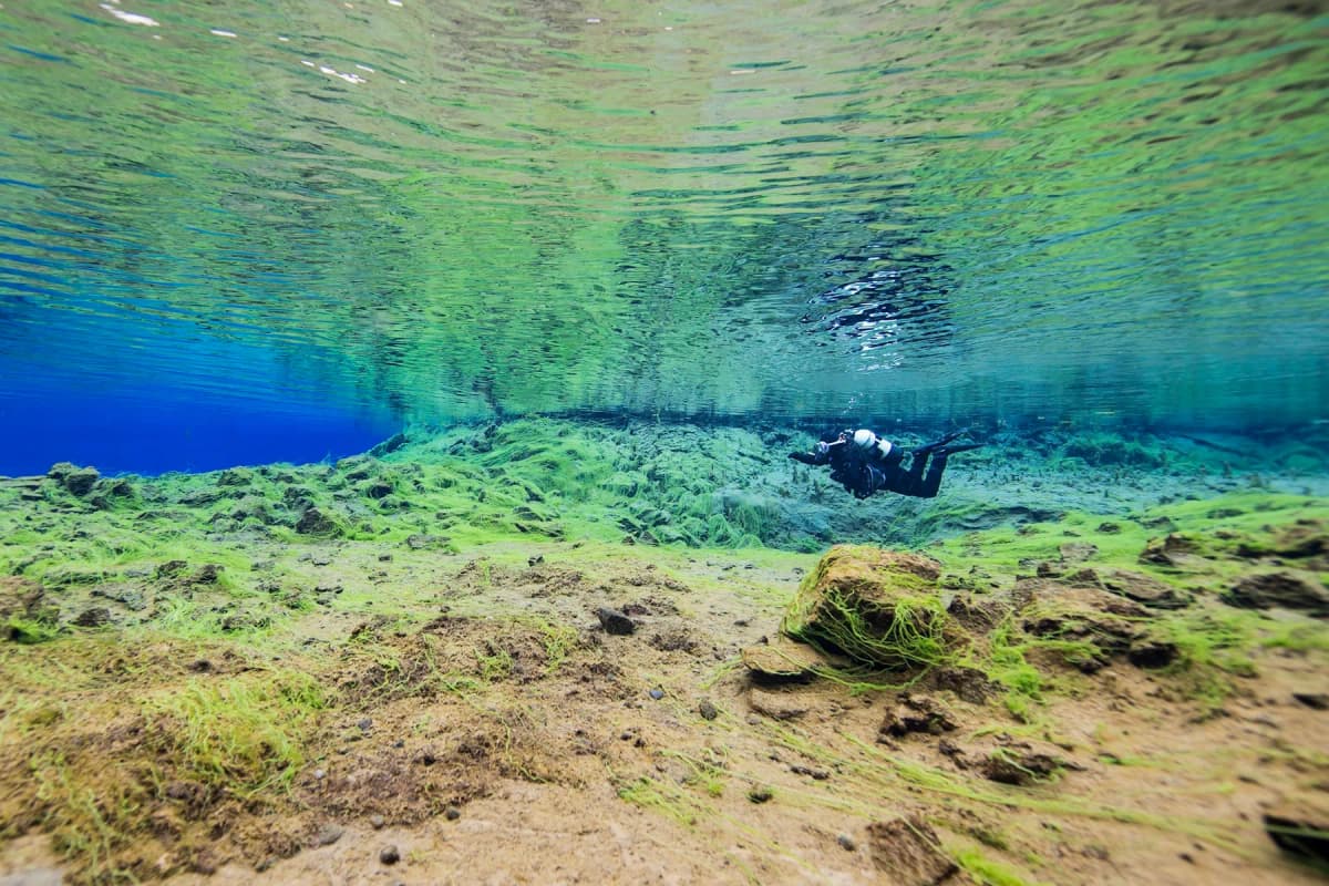Day trips from Reykjavik: a snorkeller floating above the clear blue water of the Silfra fissure in Þingvellir National Park