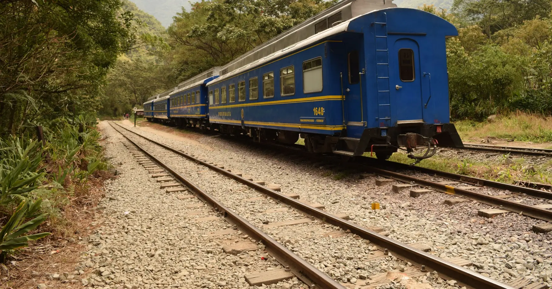 How to get to Machu Picchu: a blue train on the tracks through the forest near Aguas Calientes