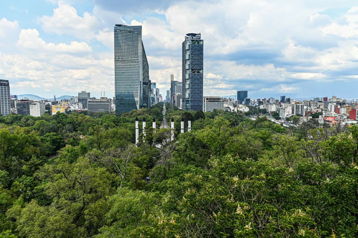 The view over the trees of Chapultepec Park towards the towers on Paseo de la Reforma