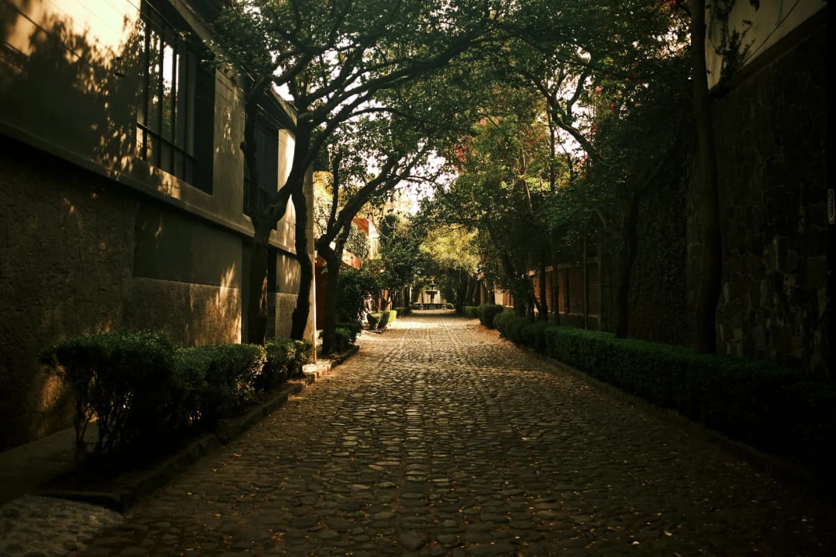 A quiet cobbled street lined with trees in Coyoacán