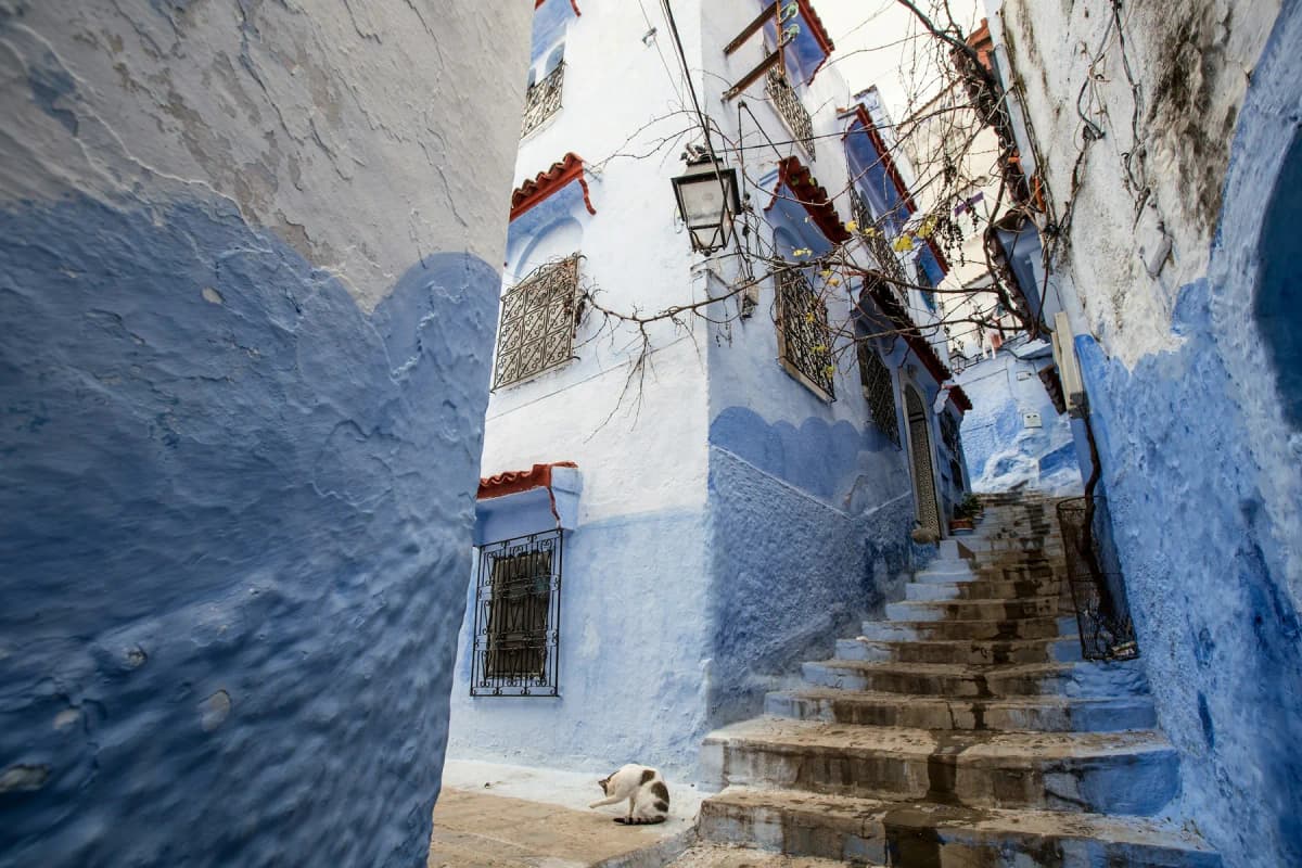 Things to do in Chefchaouen: a stepped lane in the medina with blue walls, blue steps and painted flower pots