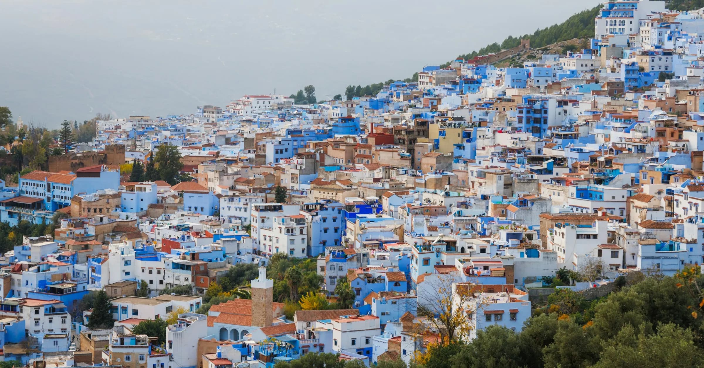 Things to do in Chefchaouen: the blue and white houses of the medina stacked up a hillside in the Rif mountains