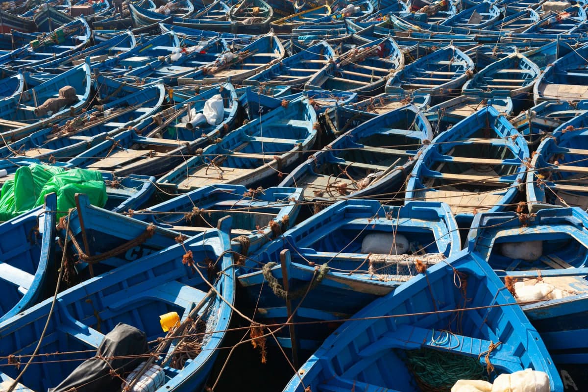 Dozens of blue wooden fishing boats packed tightly together in the harbour at Essaouira