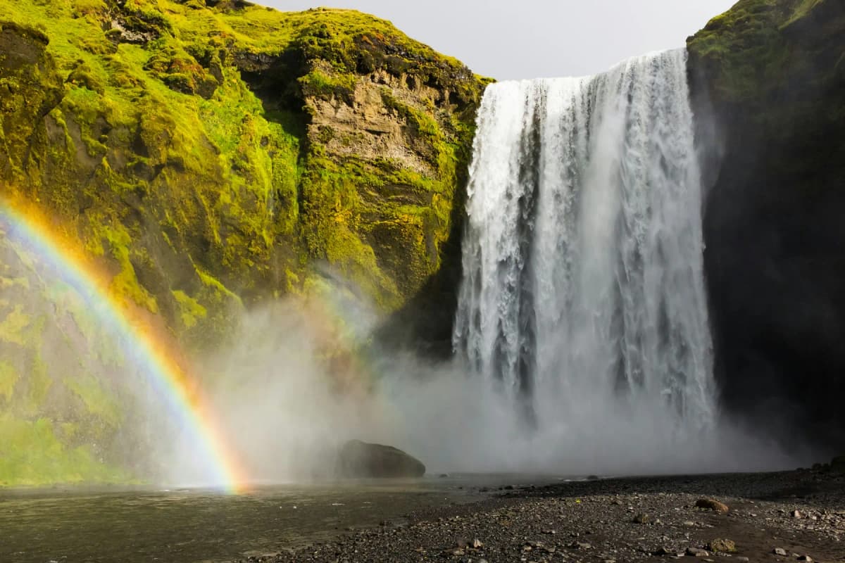 Skógafoss waterfall with a rainbow in the spray and green mossy cliffs on both sides