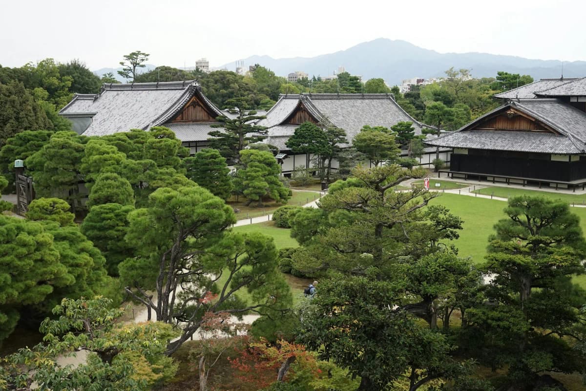Traditional palace buildings and a pine garden inside the grounds of Nijo Castle in Kyoto