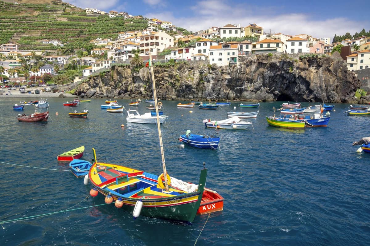 Colourful fishing boats in the harbour at Câmara de Lobos, with houses on the cliffs behind