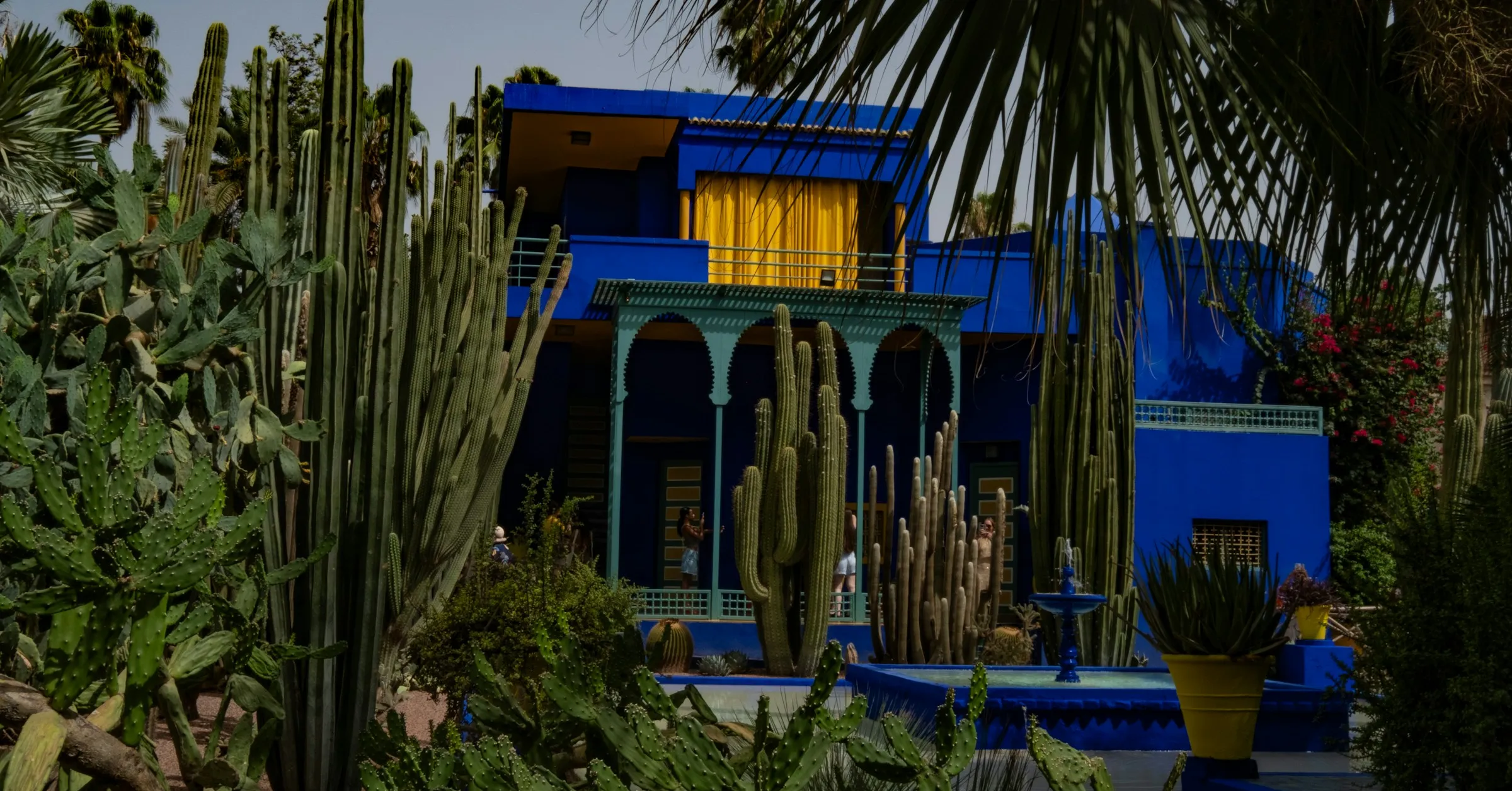 Things to do in Marrakech: the cobalt-blue villa and cactus garden at Jardin Majorelle