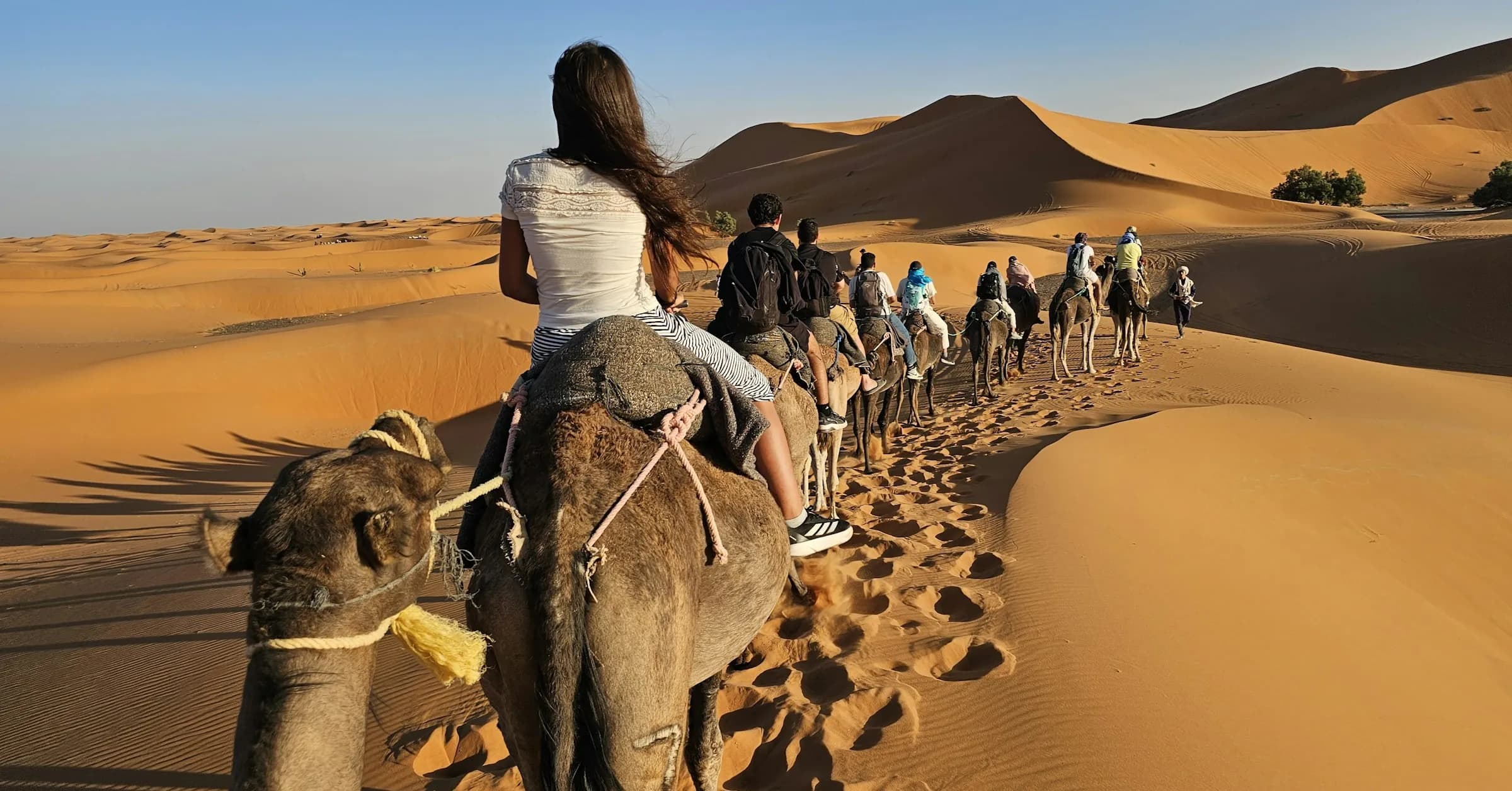 Things to do in Morocco: riding camels through the Sahara dunes near Merzouga