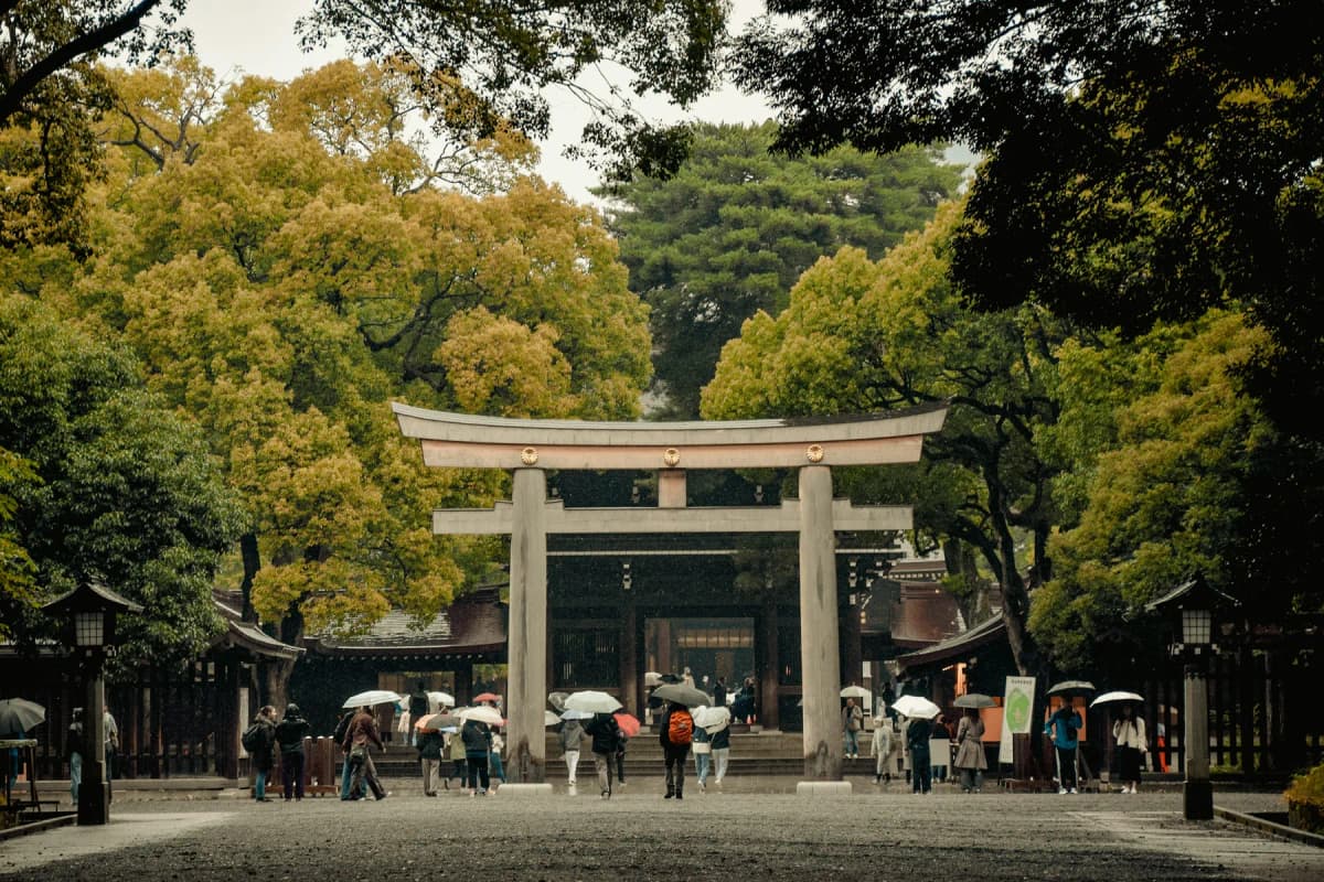 A torii gate among tall trees at the entrance to Meiji Shrine in Tokyo, with visitors carrying umbrellas