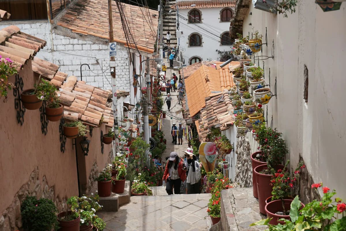 A steep, stepped lane lined with flowerpots in Cusco