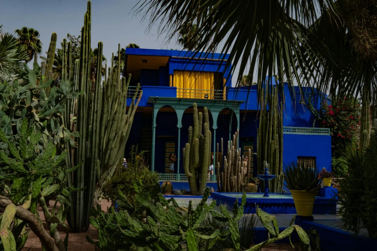 Cacti and palms around the cobalt blue villa of the Jardin Majorelle in the Gueliz district of Marrakech