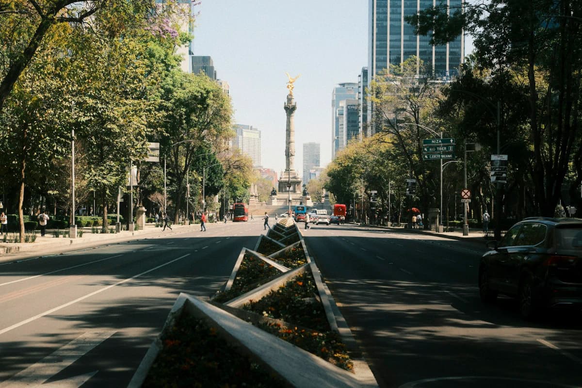 A wide tree-lined avenue with tall buildings in Mexico City
