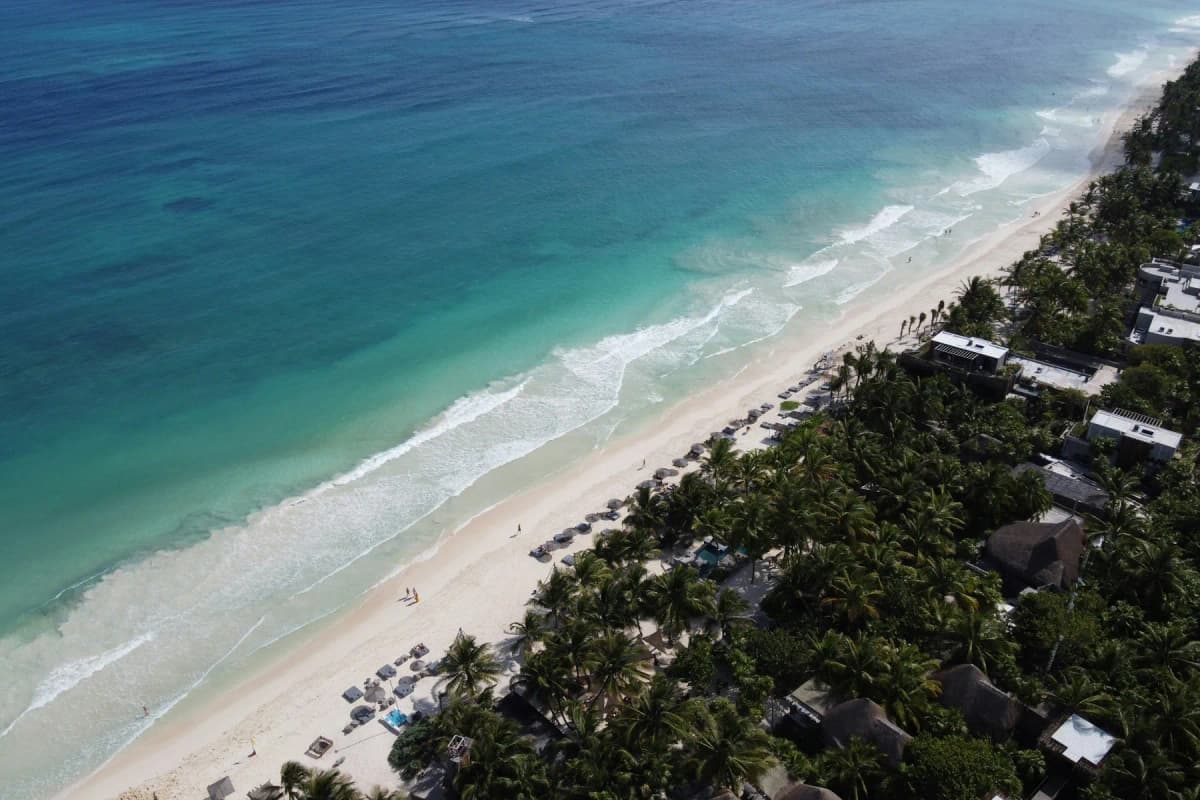 The jungle meeting the Caribbean coast on the Riviera Maya, seen from above