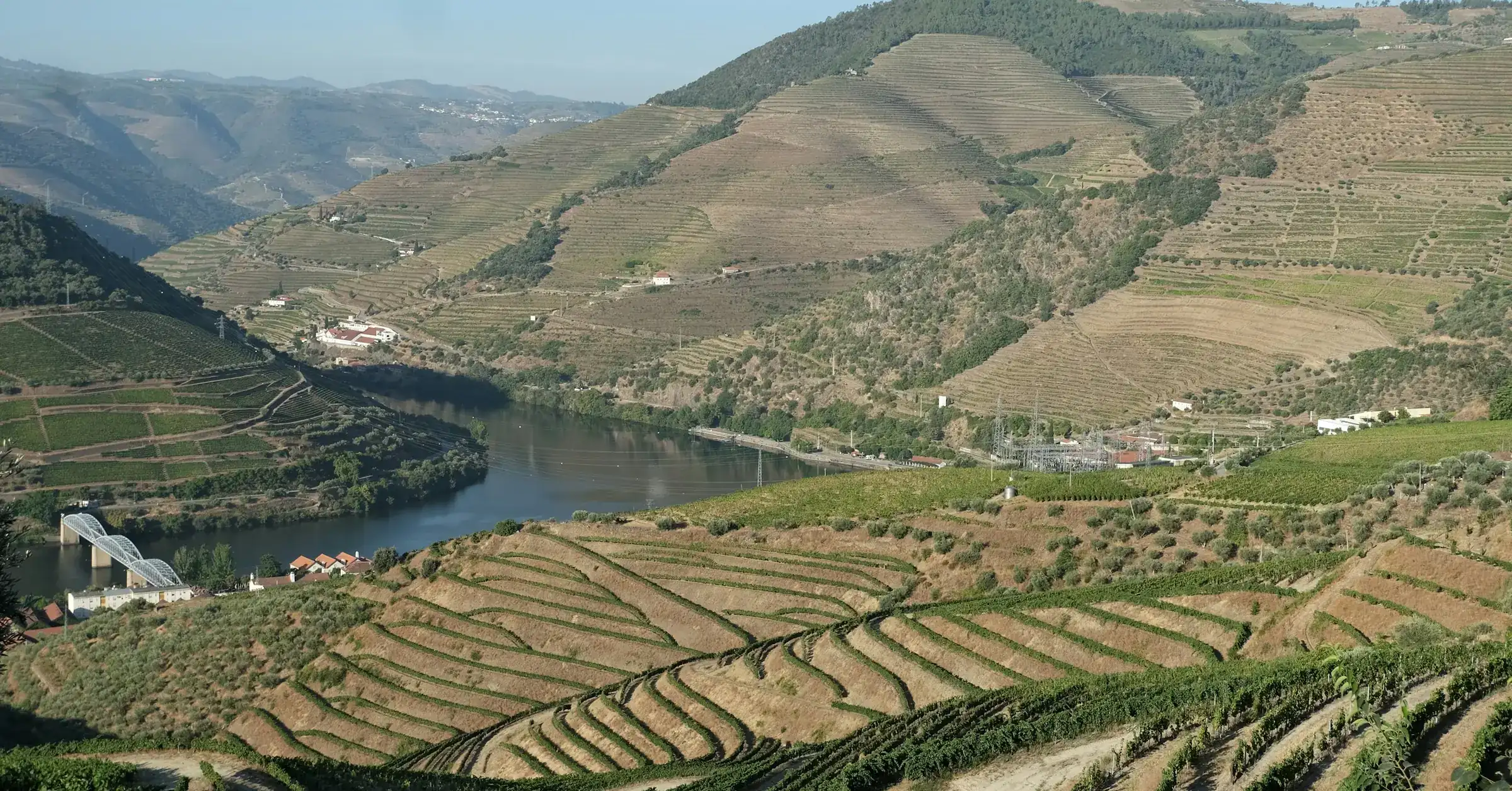 Portugal itinerary: terraced vineyards above a bend in the Douro river in northern Portugal