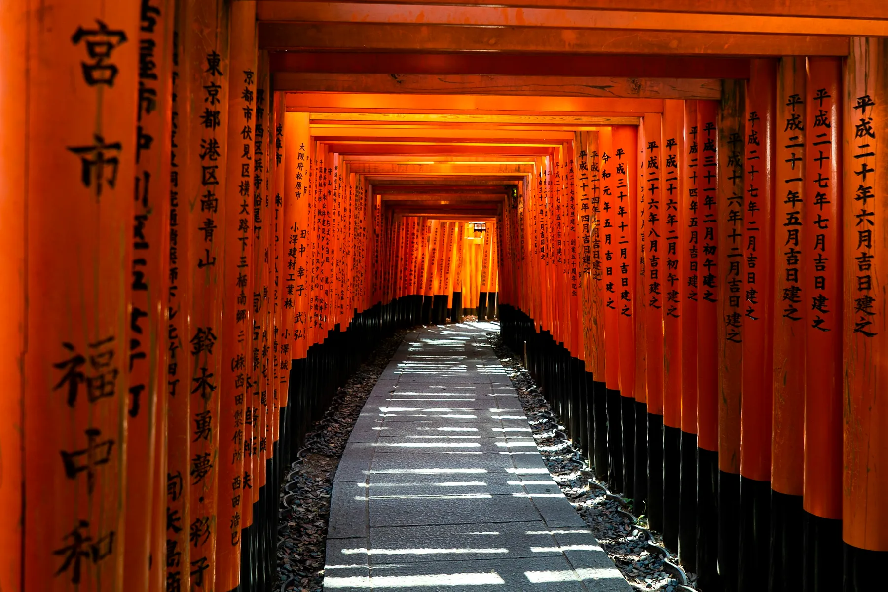 Kyoto vs Osaka: a tunnel of orange torii gates at Fushimi Inari Shrine in Kyoto