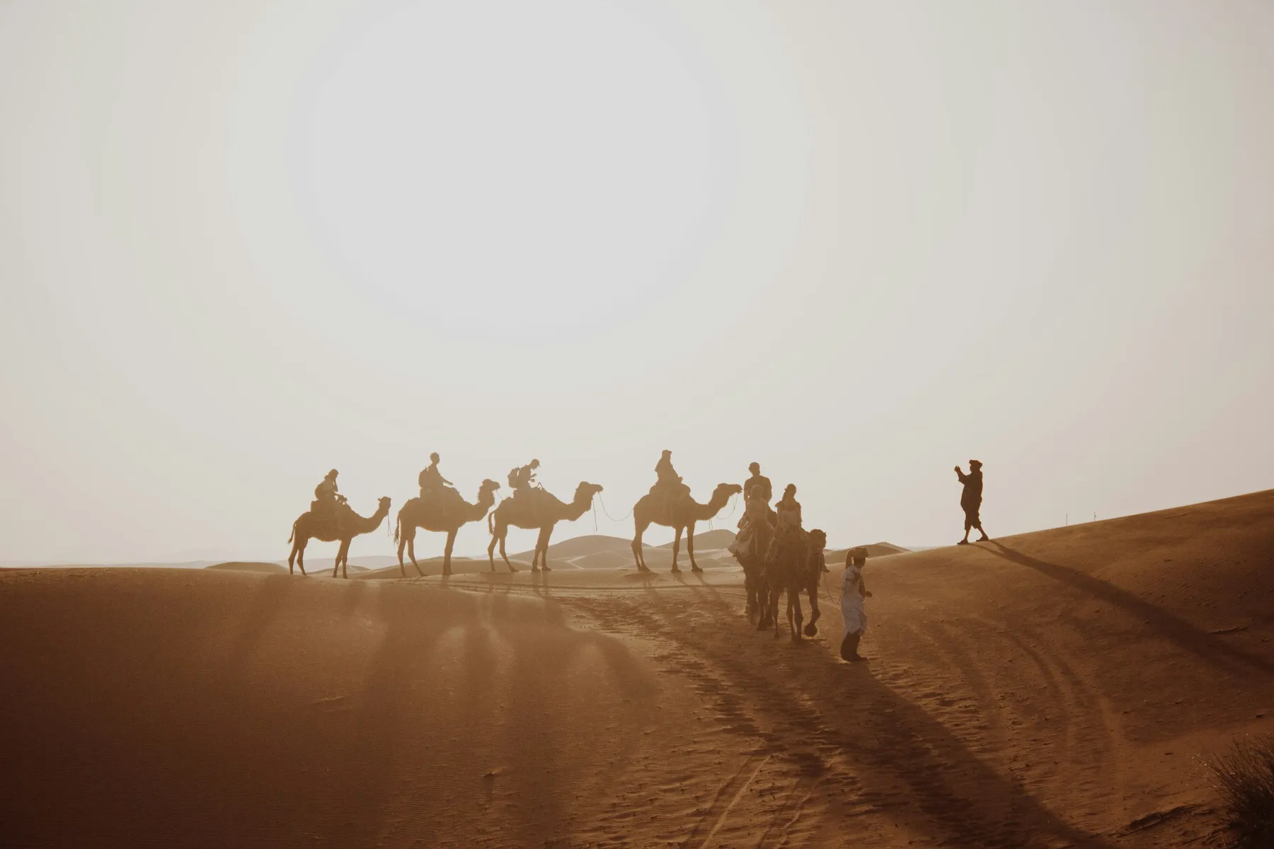 A line of camels and riders crossing the Sahara dunes in hazy light