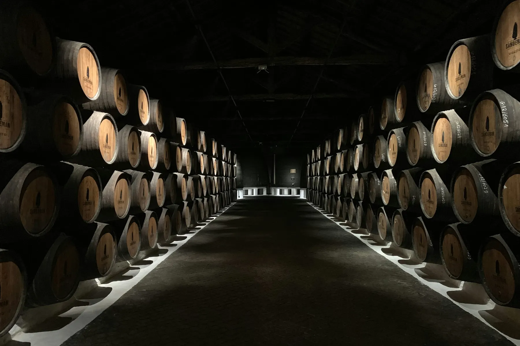 Rows of oak wine barrels ageing in a dim cellar